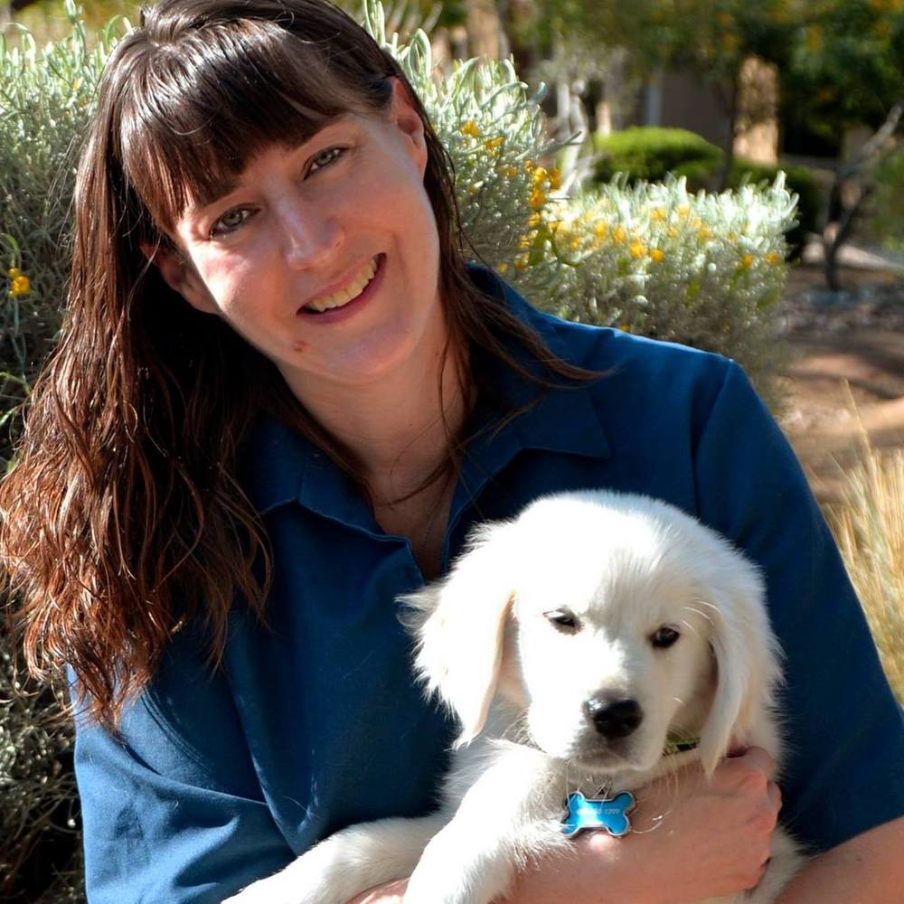 Meet your Posher, Scotti
